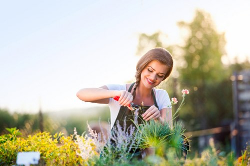 Professional lawn mowing service in a London garden