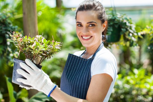 Professional hedge trimming in a London garden