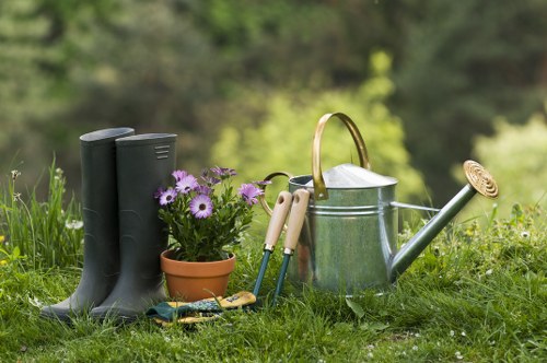 Choosing the right tree removal service in London