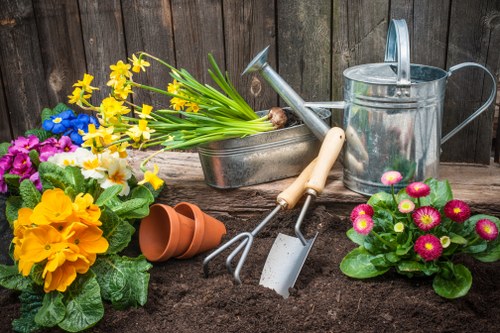Seasonal garden maintenance in London's climate