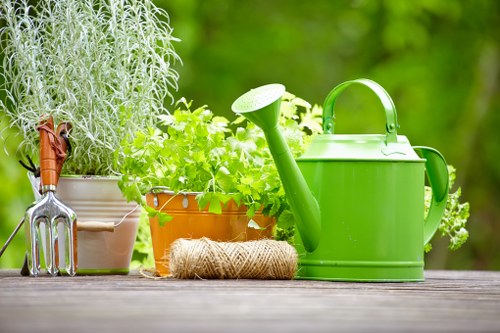 Carefully trimmed hedges enhancing garden privacy