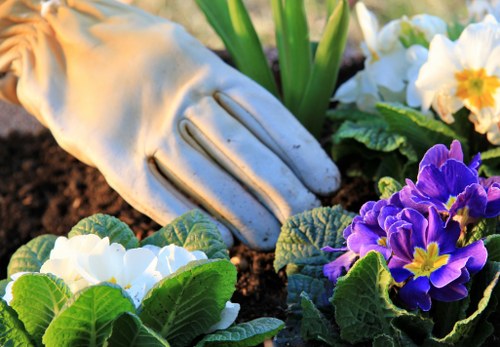 Sustainable garden design by London Landscape Gardeners