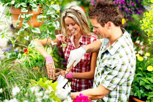 Professional landscapers working on a garden project in London