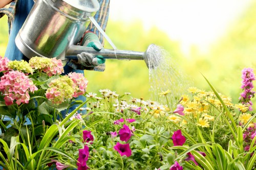 Garden maintenance services including mowing and pruning