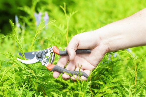 Professional landscape gardeners planning a garden design