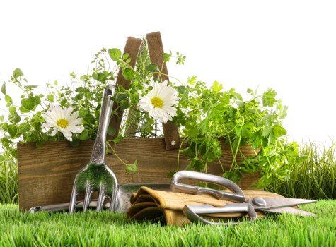 Luxurious garden space created by London Landscape Gardeners