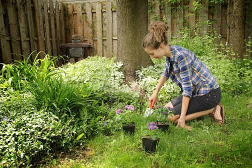 Vibrant outdoor garden with diverse plants