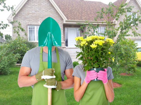 Professional garden design plan