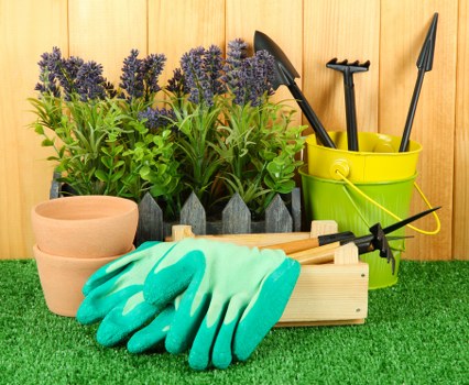 Healthy and tidy garden post-clearance by London landscapers