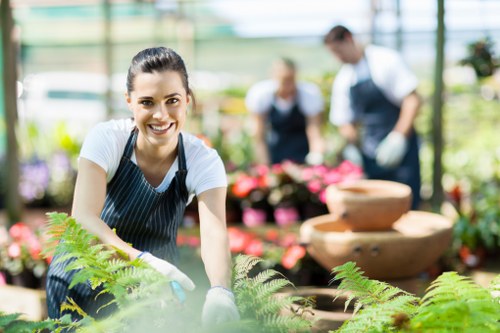 Eco-friendly lawn mowing practices in a London garden