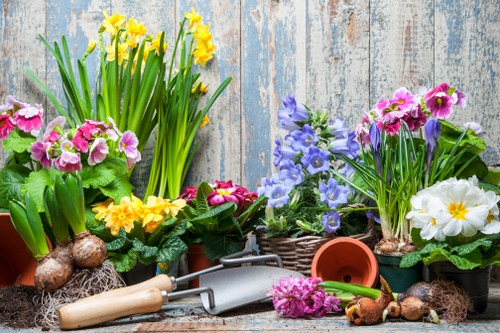 Seasonal lawn care activities by expert gardeners