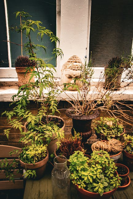 A collection of potted plants and greenery arranged on a wooden surface beneath a window in a small urban garden, featuring various leafy plants in different sizes and types of pots including terracot